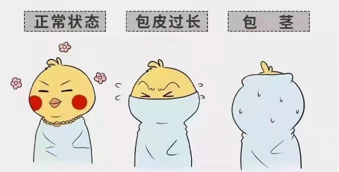 齐齐哈尔包皮包茎PT官方网站-PT(中国)一站式服务官方网站
